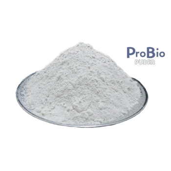 ProBio Puder - mikroorganiczna zasypka do ciała 0,1kg